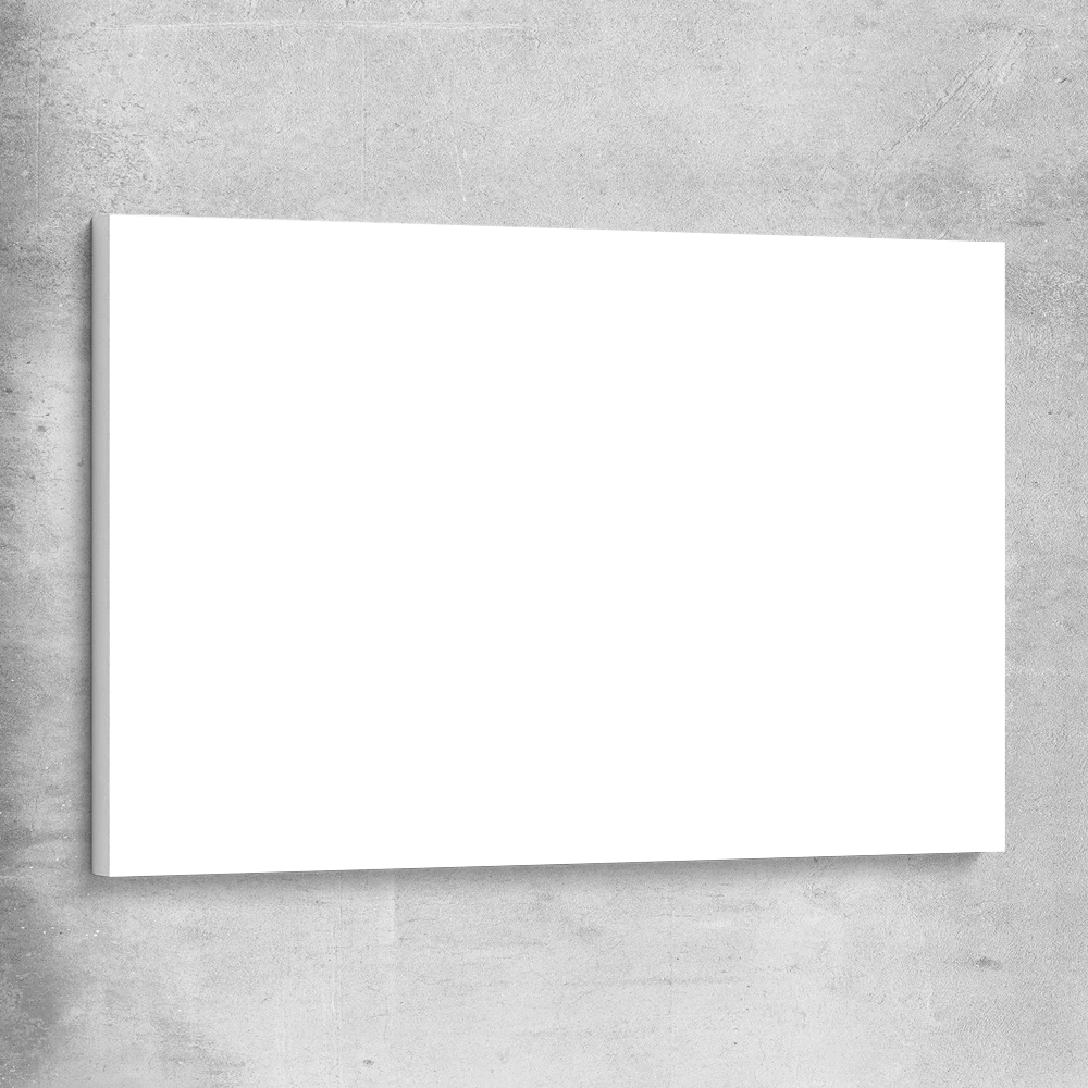 Print & Frame on Canvas