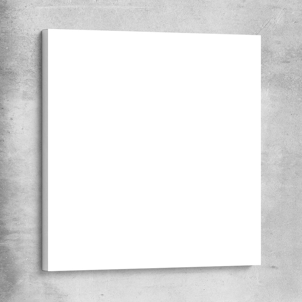 Print & Frame on Canvas